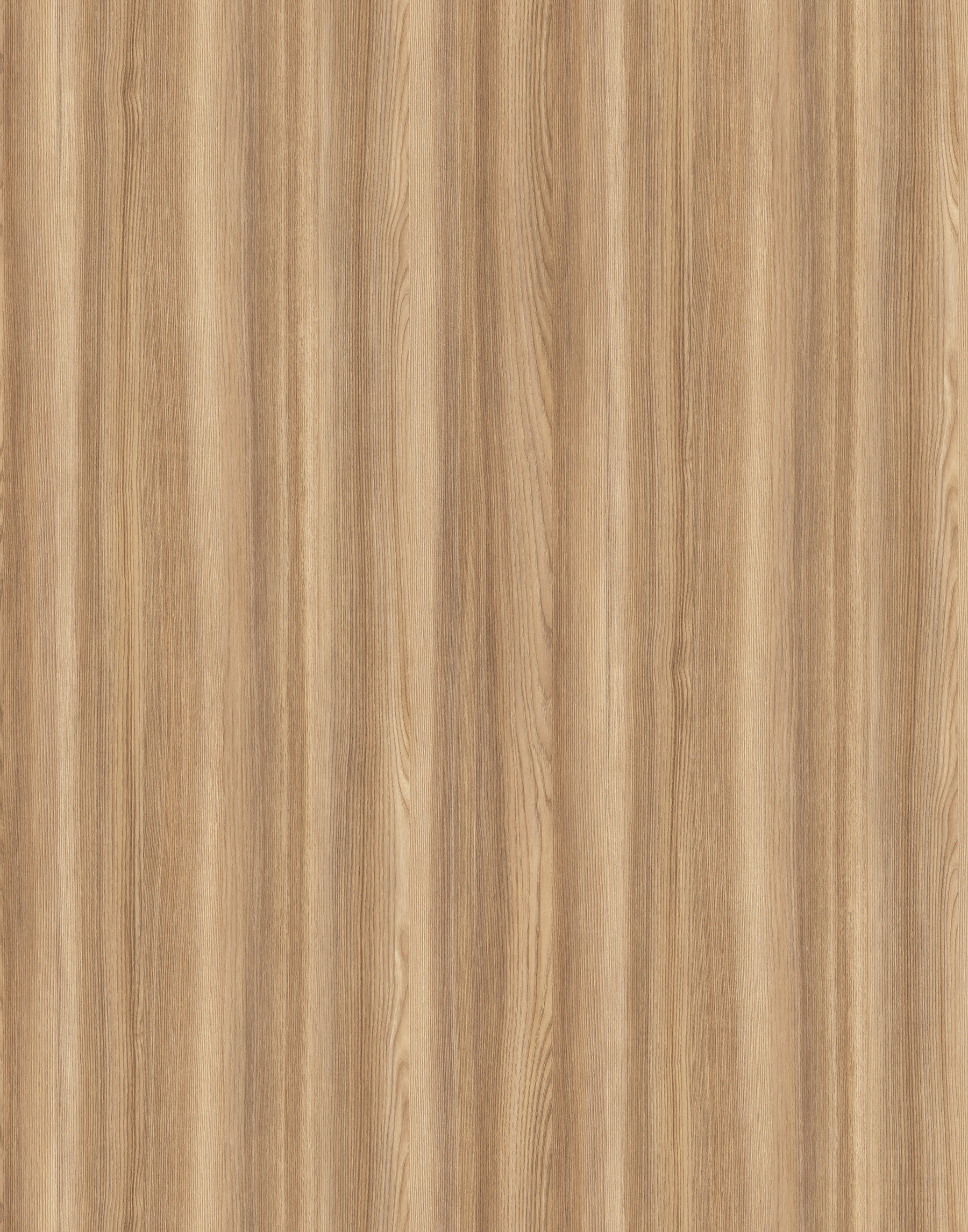 9107 SN BLONDE SURFSIDE ASH.jpg